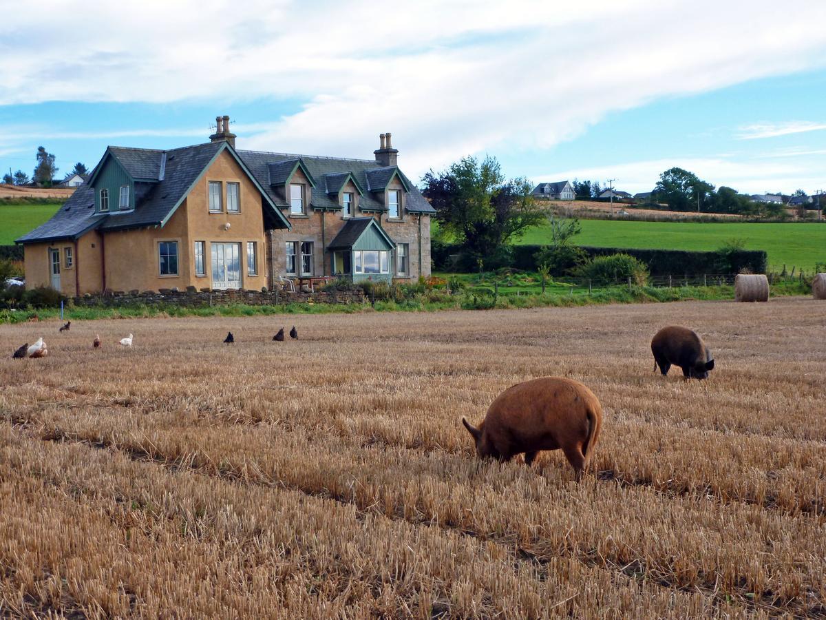 Netherton Farm B&B Culbokie Ngoại thất bức ảnh